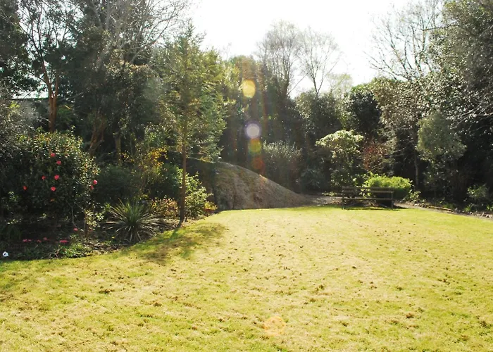 Casey's 글레나가리프